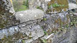 acastle
                          111145.jpg